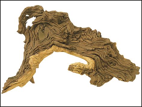 Dekorácie Tropical wood L 1ks