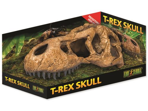 Dekorácie EXO TERRA T-Rex lebka 1ks