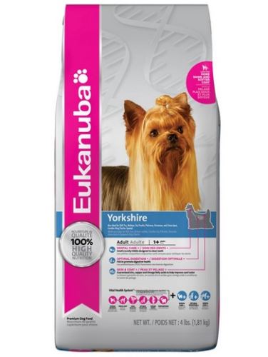 Eukanuba Yorkshire Terrier