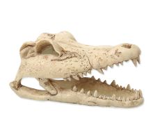 Dekorácie reptať PLANET Krokodília lebka 13,8 cm 1ks