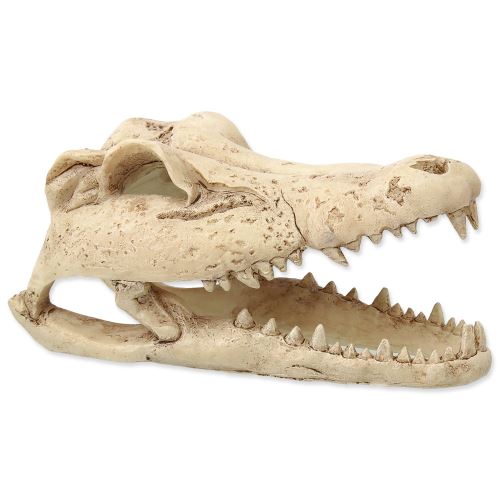 Dekorácie reptať PLANET Krokodília lebka 13,8 cm 1ks