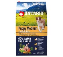 ONTARIO Puppy Medium Lamb &amp; Rice 6,5kg